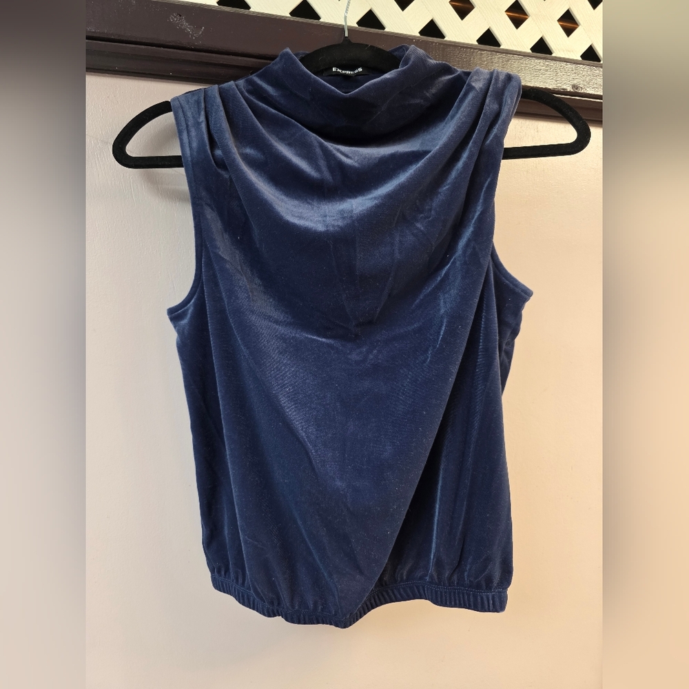 Blue Velvet Express Sleeveless Top